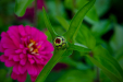Thumbnail _mg_9832.jpg 