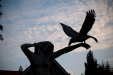 Thumbnail _mg_0069.jpg 