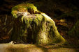 Thumbnail _mg_9895.jpg 
