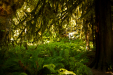 Thumbnail _mg_9913.jpg 
