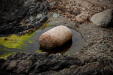 Thumbnail _mg_0155.jpg 