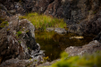 Thumbnail _mg_0202.jpg 