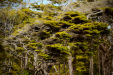 Thumbnail _mg_0222.jpg 