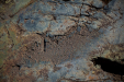 Thumbnail _mg_0462.jpg 