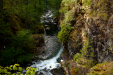 Thumbnail _mg_0496.jpg 