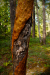 Thumbnail _mg_0498.jpg 