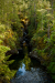 Thumbnail _mg_0500.jpg 