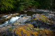 Thumbnail _mg_0561.jpg 