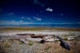 Thumbnail _mg_0598.jpg 
