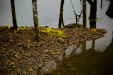 Thumbnail _mg_0658.jpg 