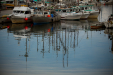 Thumbnail _mg_0701.jpg 