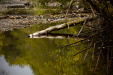 Thumbnail _mg_0759.jpg 