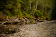 Thumbnail _mg_0780.jpg 