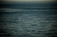 Thumbnail _mg_0900.jpg 