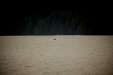 Thumbnail _mg_0975.jpg 