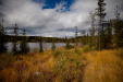 Thumbnail _mg_1090.jpg 