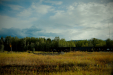 Thumbnail _mg_1130.jpg 