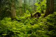 Thumbnail _mg_1235.jpg 