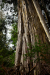 Thumbnail _mg_1248.jpg 