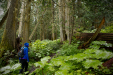 Thumbnail _mg_1251.jpg 