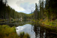 Thumbnail _mg_1512.jpg 