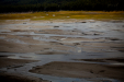 Thumbnail _mg_1707.jpg 