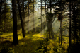 Thumbnail _mg_1844.jpg 