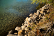 Thumbnail _mg_1854.jpg 