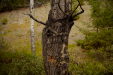 Thumbnail _mg_2079.jpg 