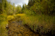 Thumbnail _mg_2093.jpg 