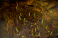 Thumbnail _mg_2096.jpg 