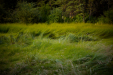 Thumbnail _mg_2668.jpg 