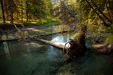 Thumbnail _mg_2687.jpg 