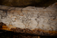 Thumbnail _mg_2831.jpg 