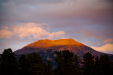 Thumbnail _mg_2991.jpg 
