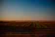 Thumbnail _mg_3406.jpg 