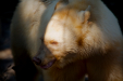 Thumbnail _mg_3654.jpg 