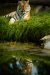 Thumbnail _mg_3758.jpg 