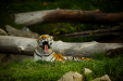 Thumbnail _mg_3766.jpg 