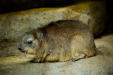 Thumbnail _mg_3822.jpg 