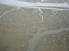 Thumbnail IMG_7528.JPG 