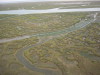 Thumbnail IMG_7529.JPG 