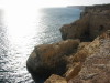 Thumbnail IMG_7535.JPG 