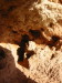Thumbnail IMG_7539.JPG 