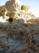 Thumbnail IMG_7546.JPG 