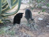 Thumbnail IMG_7558.JPG 
