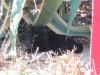 Thumbnail IMG_7569.JPG 
