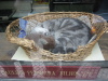 Thumbnail IMG_7648.JPG 