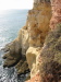 Thumbnail IMG_7666.JPG 