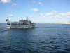Thumbnail IMG_7684.JPG 